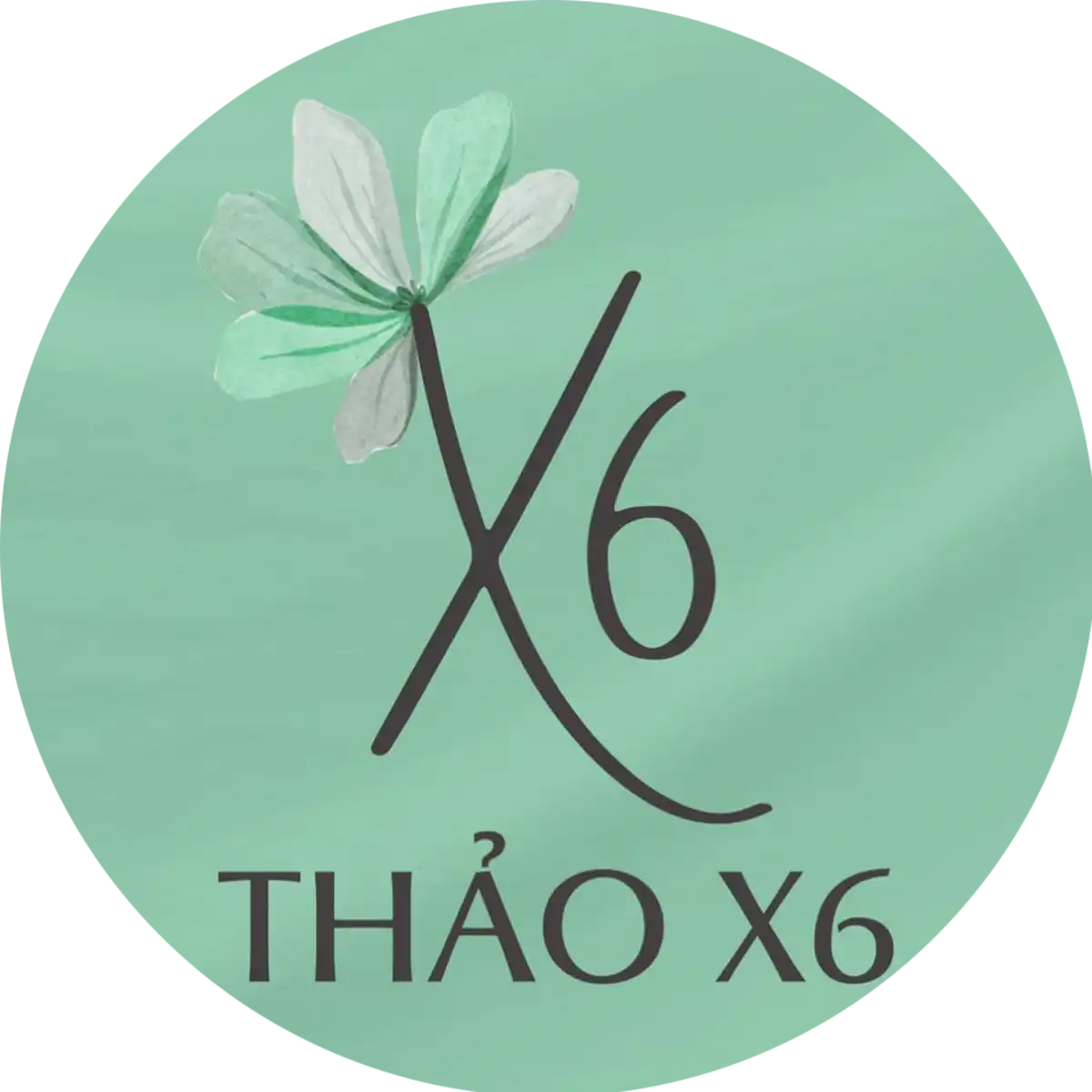 THẢO X6.png